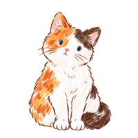 Milo, a calico cat, sitting and looking up