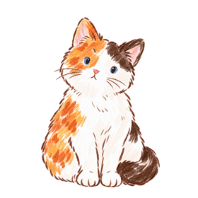 Milo, a calico cat, sitting and looking up